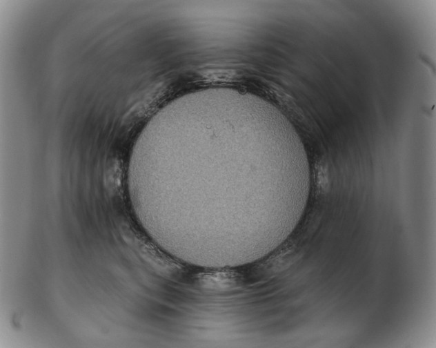 X0000102770567200809021032