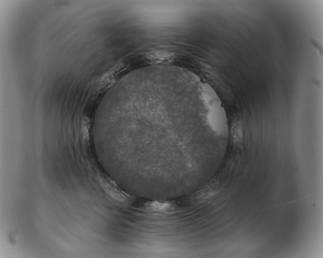 X0000102770570200809021032