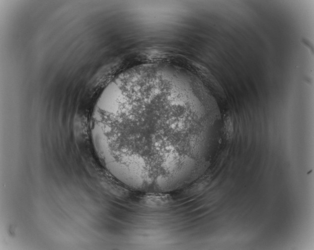 X0000102770571200809021032