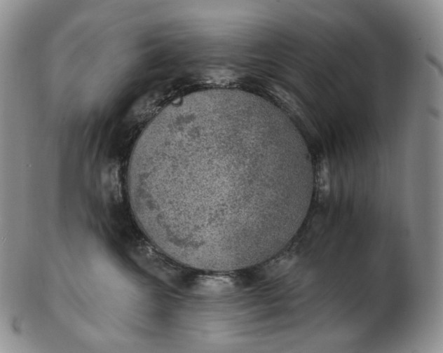 X0000102770572200809021032