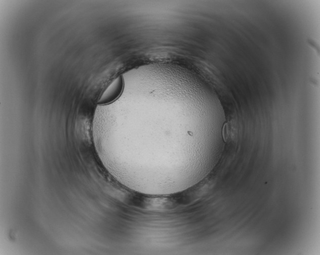 X0000102770575200809021032