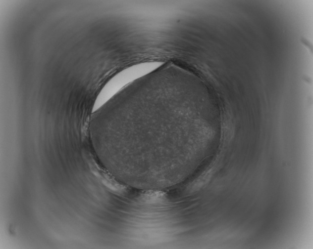 X0000102770576200809021032