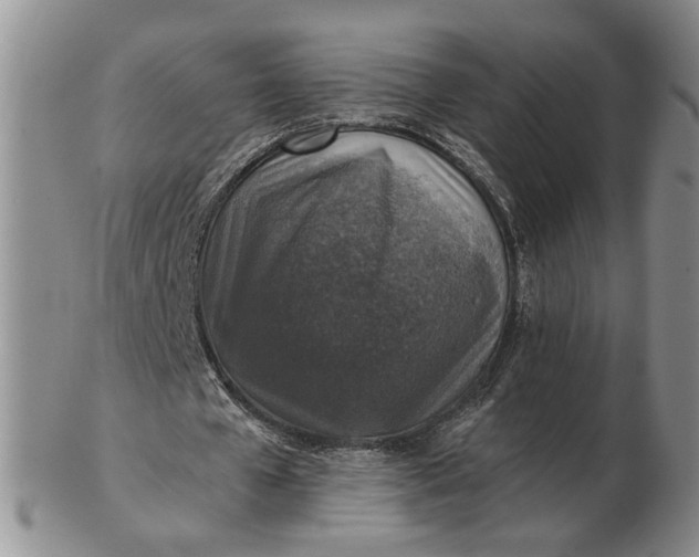 X0000102770577200809021031