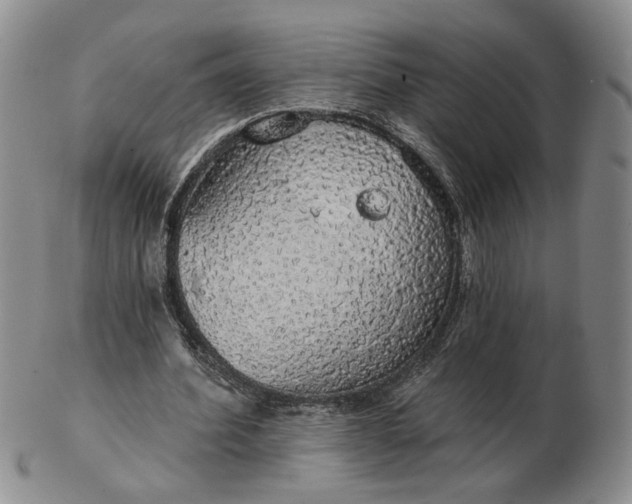 X0000102770580200809021031