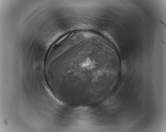 X0000102770581200809021031