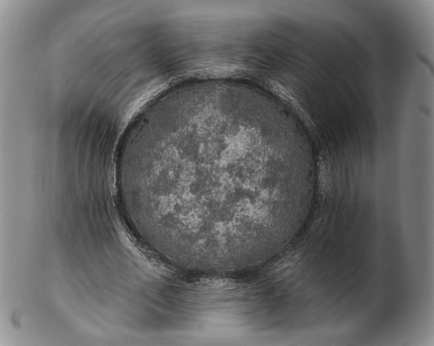 X0000102770582200809021031