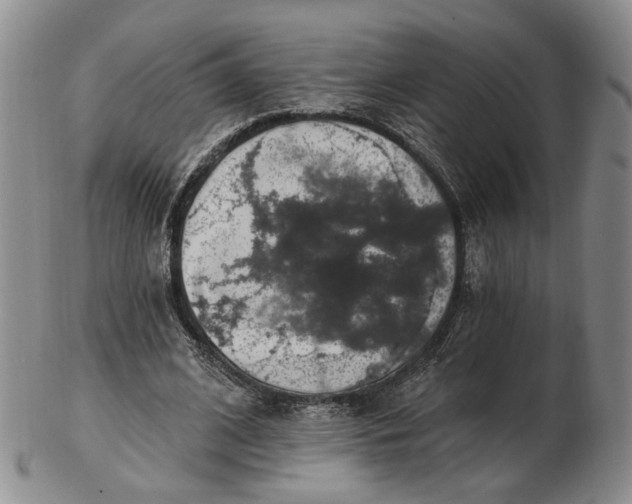 X0000102770584200809021031