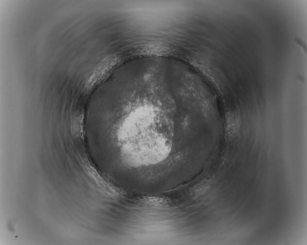 X0000102770585200809021031