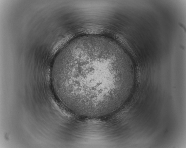 X0000102770586200809021031