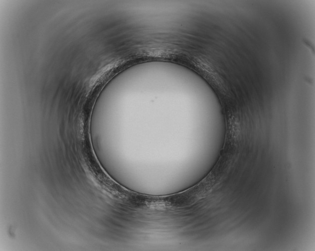 X0000102770587200809021031