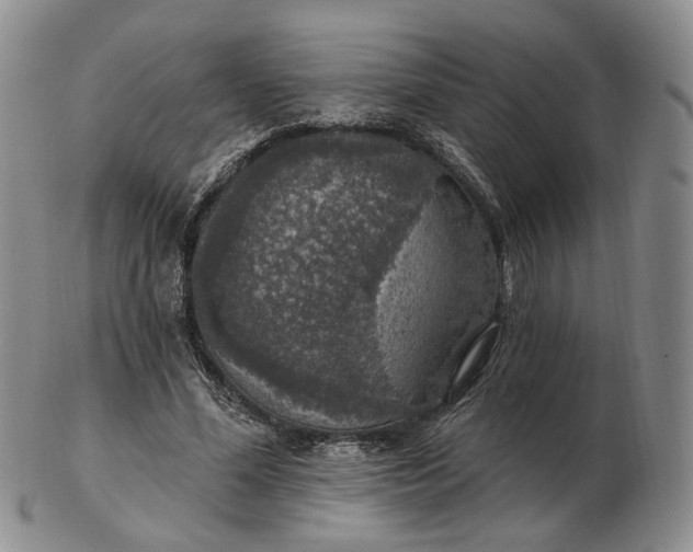 X0000102770588200809021031