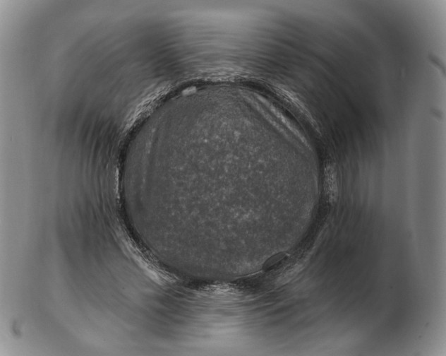 X0000102770589200809021031