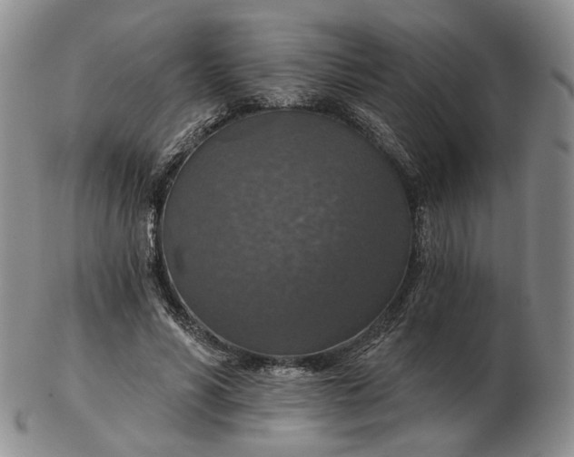 X0000102770590200809021031