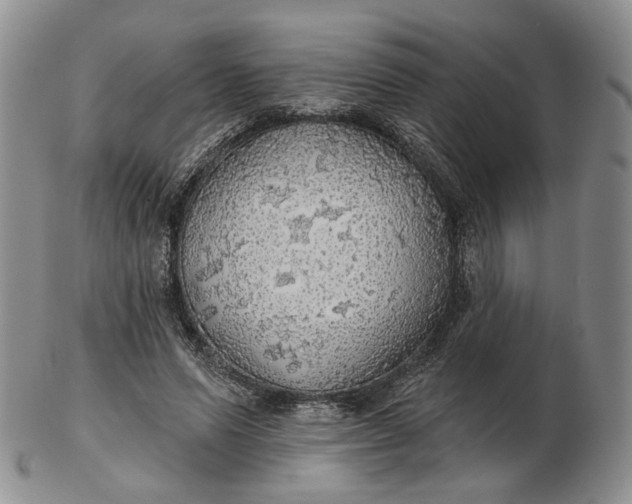 X0000102770591200809021031