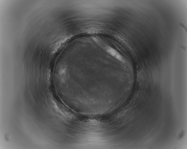 X0000102770592200809021031