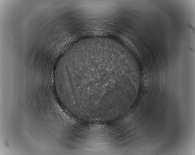 X0000102770593200809021031