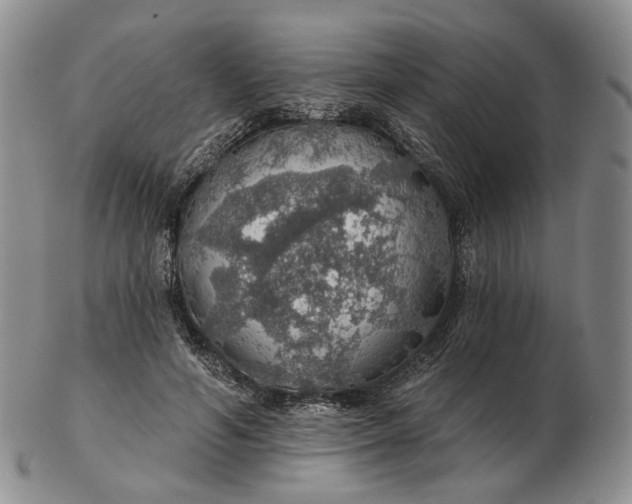 X0000102770594200809021031