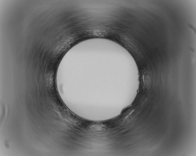 X0000102770595200809021031