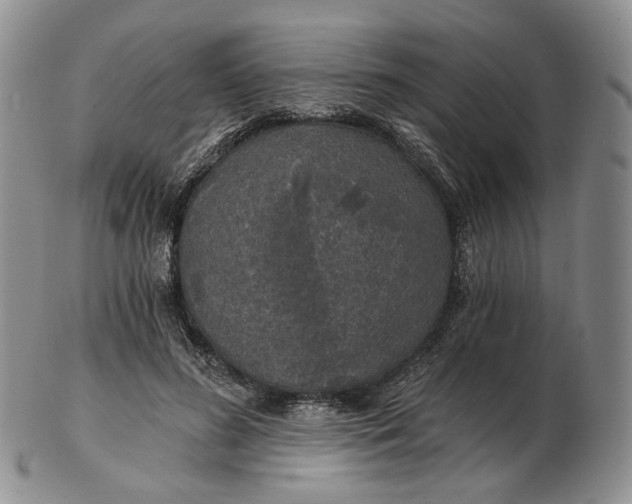 X0000102770596200809021031