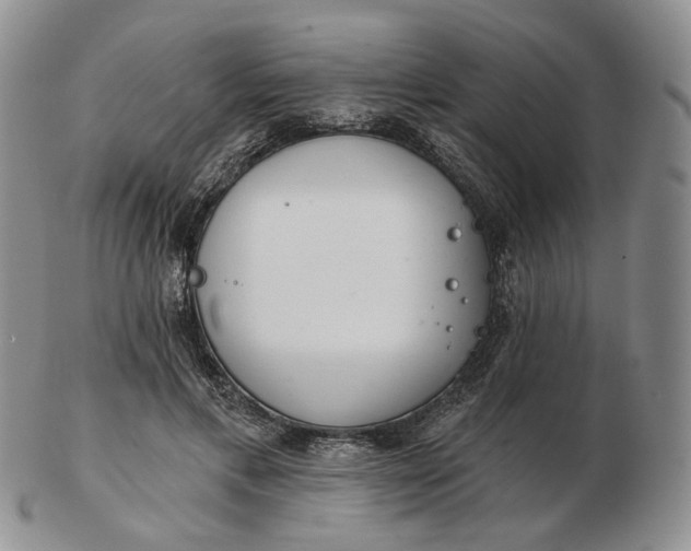 X0000102770597200809021031