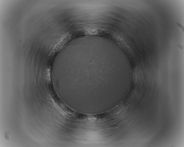 X0000102770598200809021031