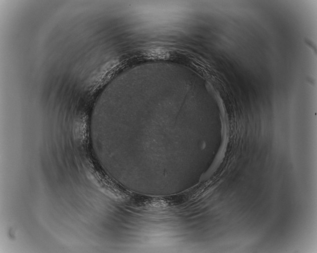 X0000102770600200809021031