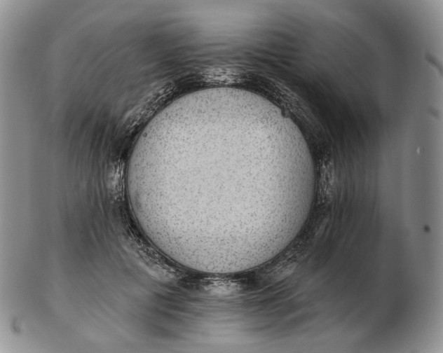 X0000102770601200809021031