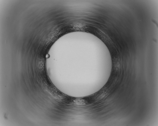 X0000102770603200809021031