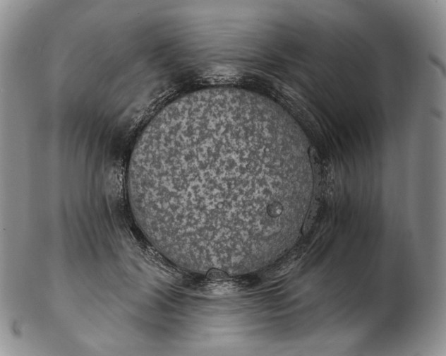 X0000102770604200809021031