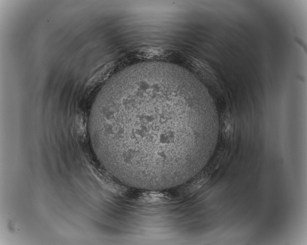 X0000102770607200809021031