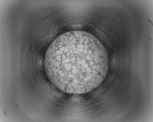 X0000102770608200809021031