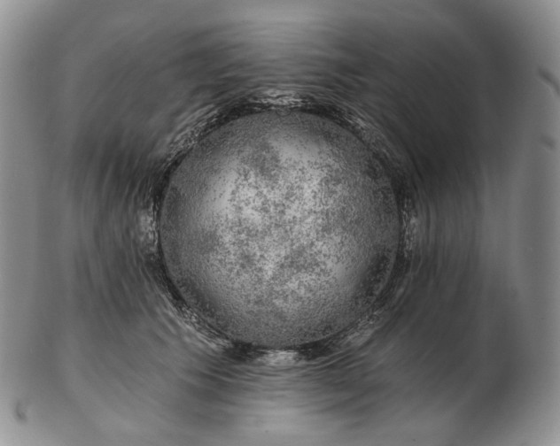 X0000102770609200809021031