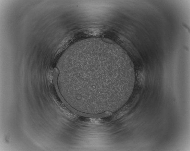 X0000102770612200809021031