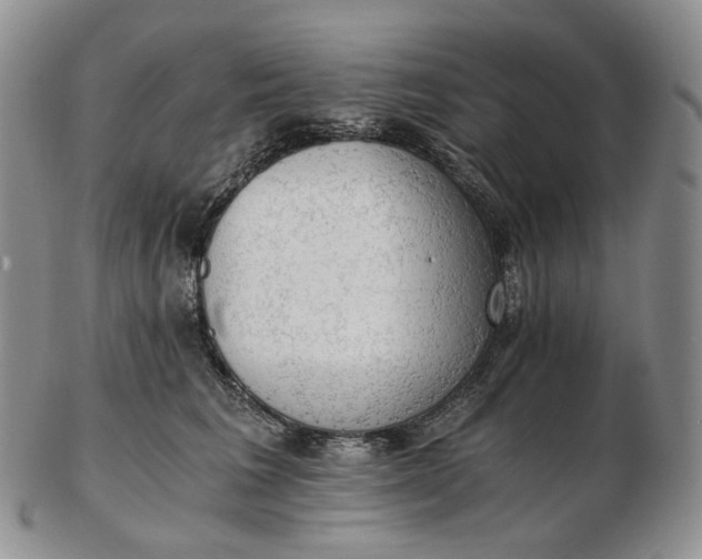 X0000102770613200809021031