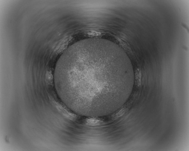 X0000102770614200809021031