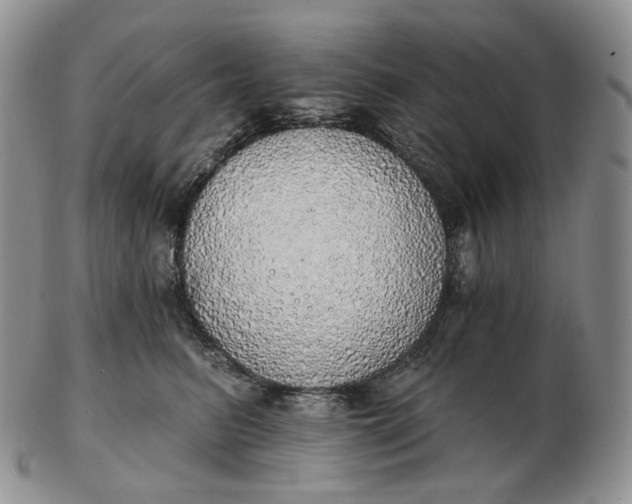 X0000102770615200809021031