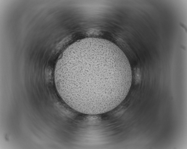 X0000102770619200809021031