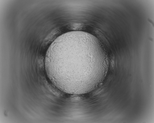 X0000102770620200809021031