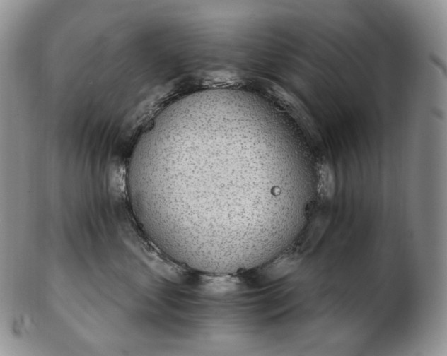 X0000102770621200809021031