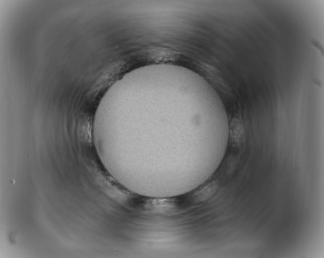 X0000102770622200809021031