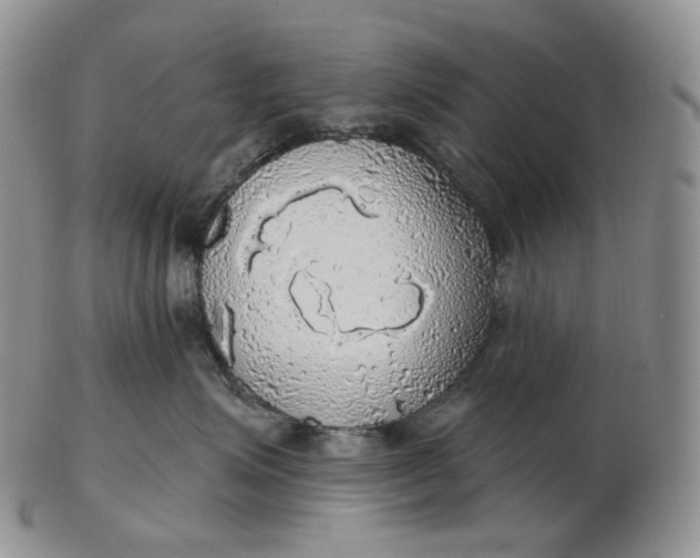 X0000102770623200809021031