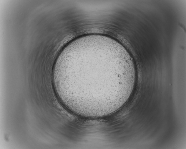 X0000102770625200809021030