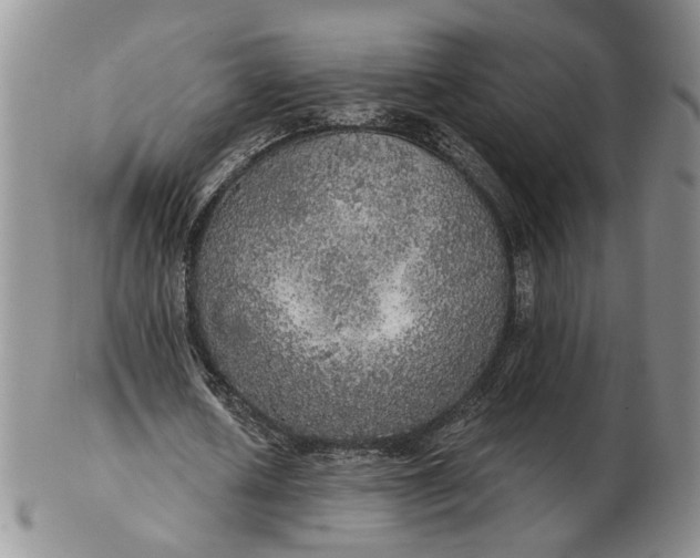 X0000102770626200809021030