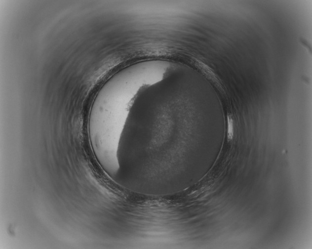 X0000102770627200809021030