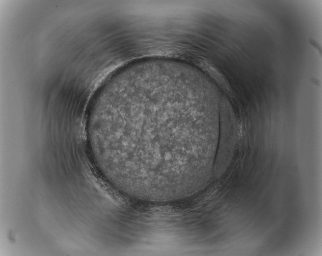 X0000102770628200809021030