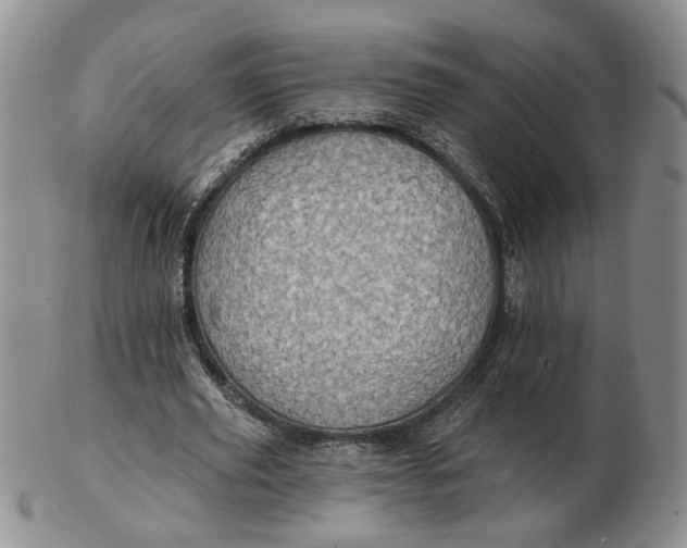 X0000102770629200809021030