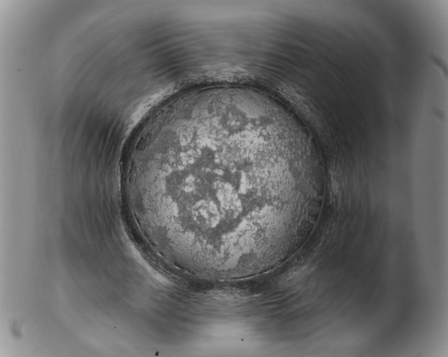 X0000102770630200809021030