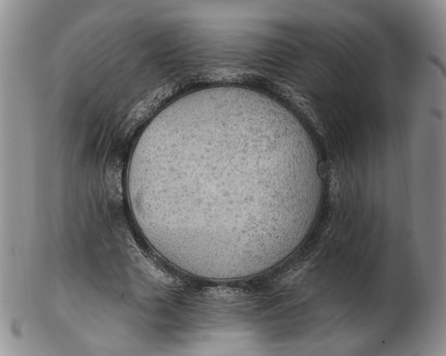 X0000102770633200809021030