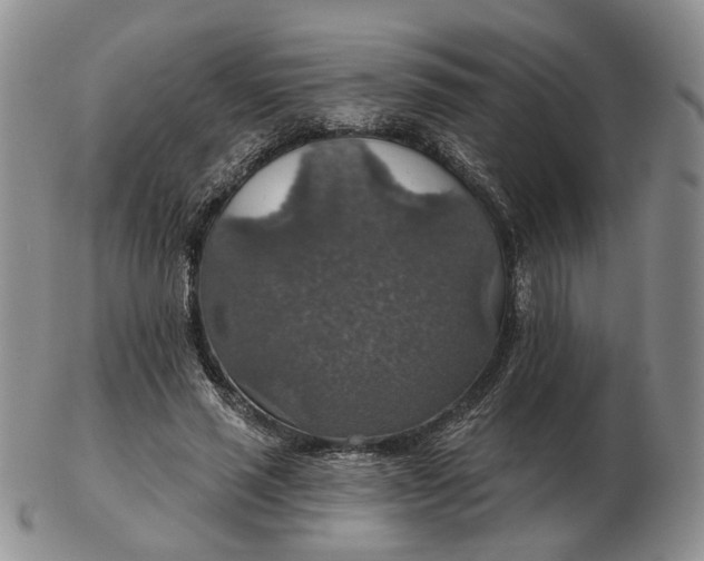 X0000102770637200809021030