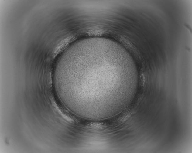 X0000102770638200809021030